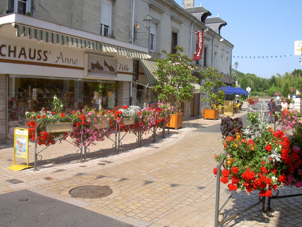 Langeais, Rue Gambetta (01.07.2008)