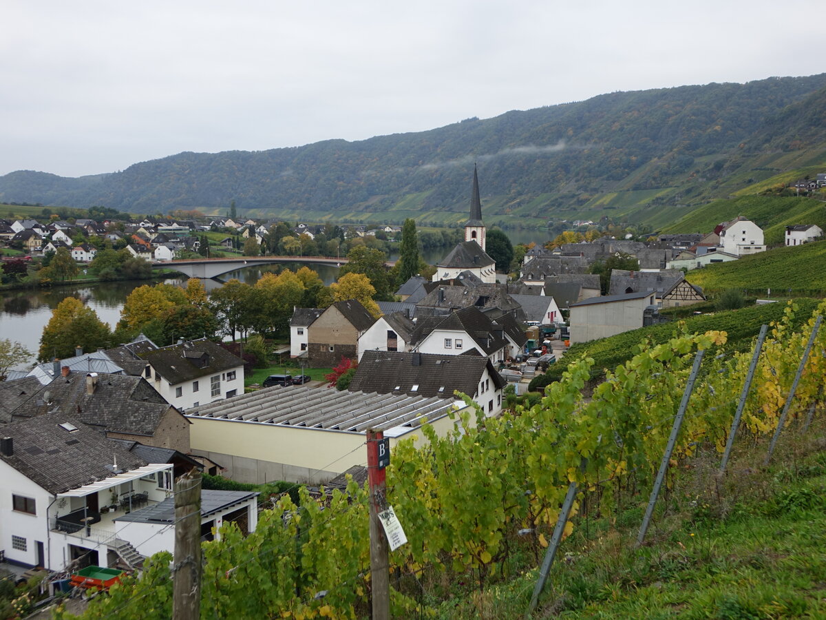 Ausblick auf Piesport mit St. Michael Kirche (10.10.2025)