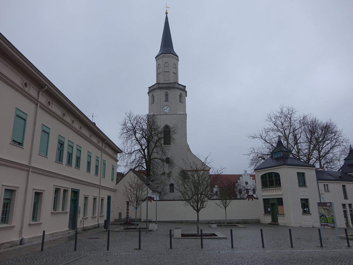 Coswig/Anhalt, evangelische Stadtkirche St. Nicolai am Markt, erbaut von 1564 bis 1565, Kirchturm erneuert 1865 (11.12.2024)