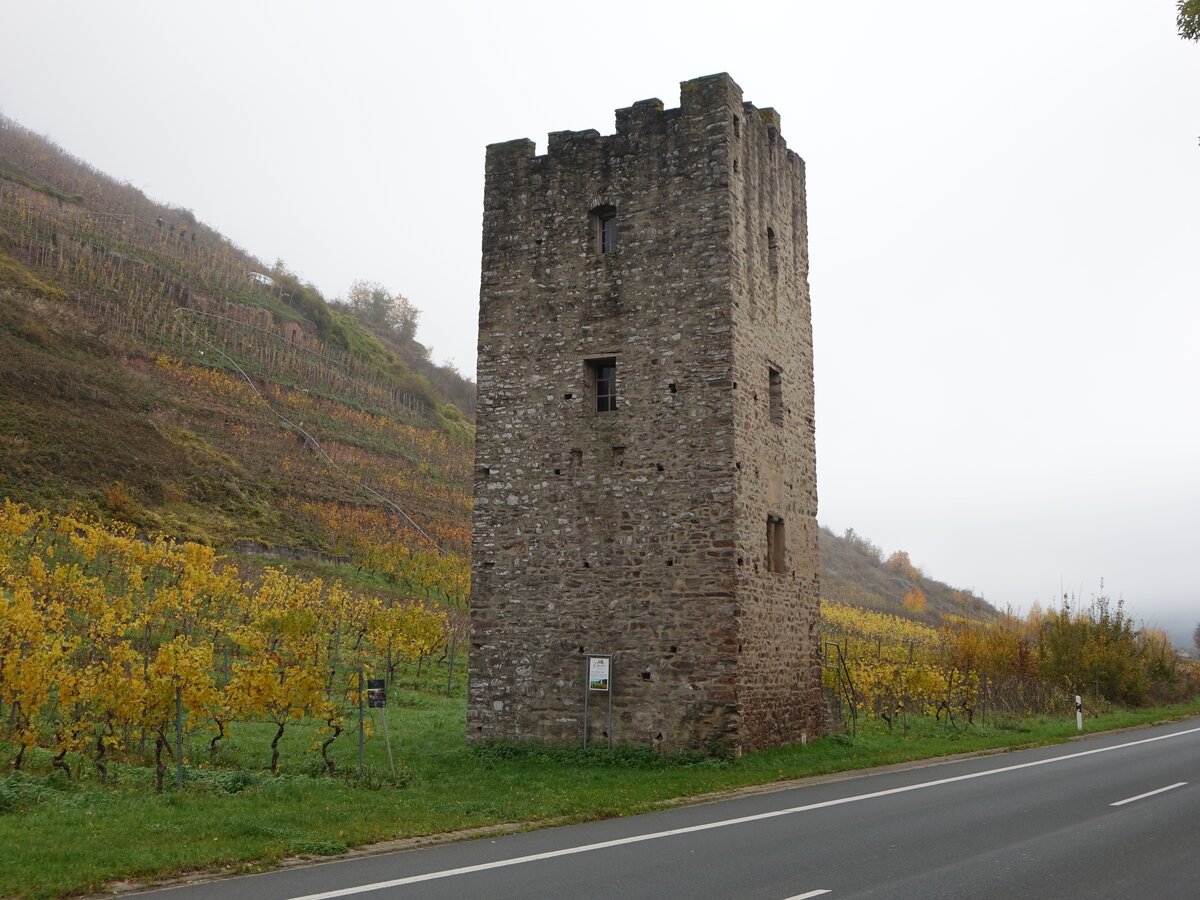 Ediger-Eller, Wohnturm Hofgut Lehmen, erbaut im 13. Jahrhundert (07.11.2025)