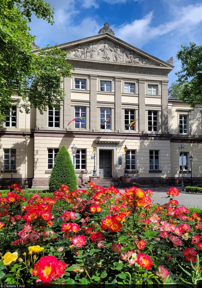 Es grnt und blht auf dem Wilhelmsplatz, vor der Aula der Georg-August-Universitt Gttingen.

🕓 16.6.2024 | 11:06 Uhr