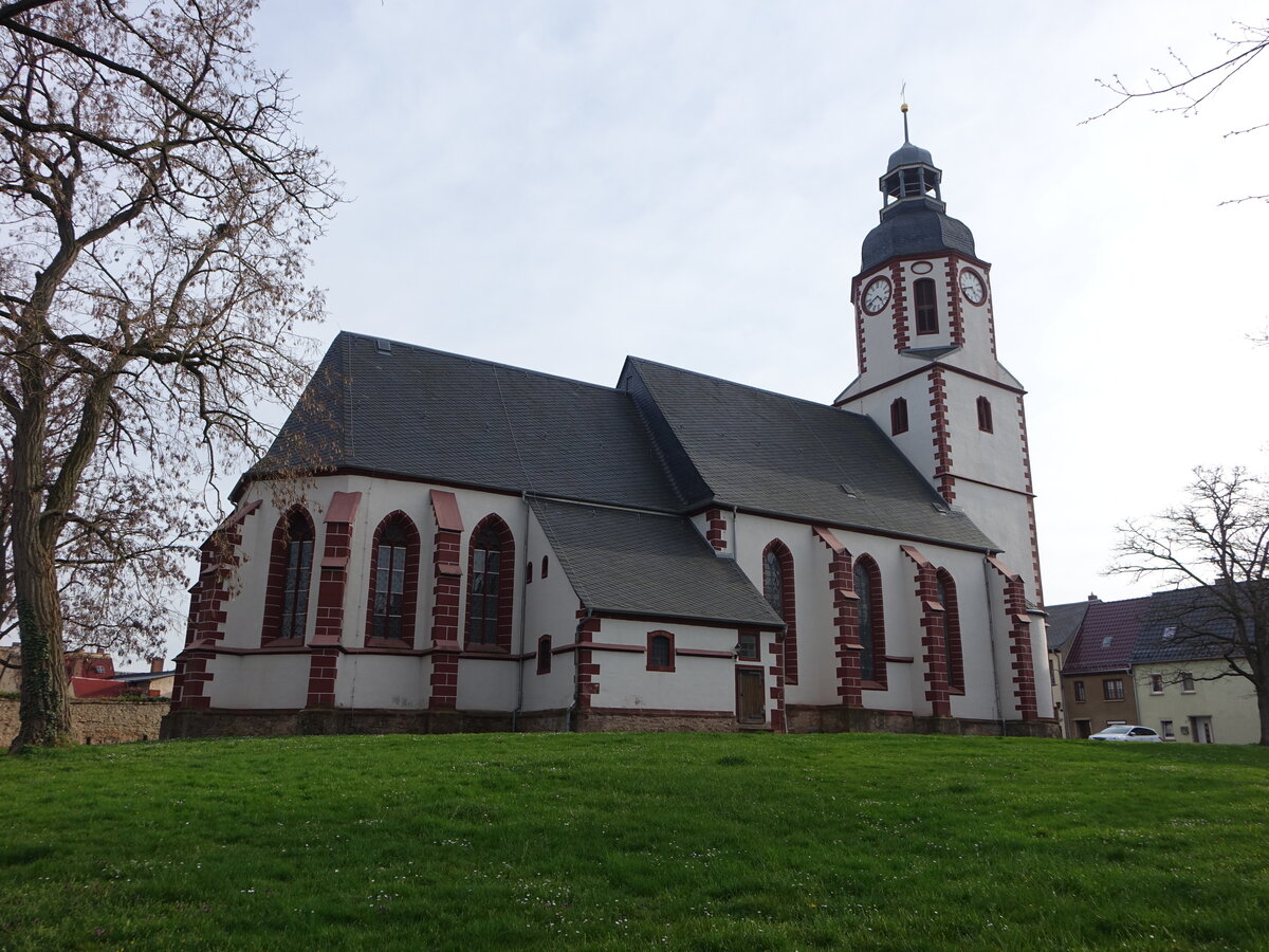 Frohburg, evangelische St. Michaelis Kirche, dreischiffige gotische Hallenkirche, Chor erbaut 1425, Kirchenschiff von 1475 (31.03.2024)