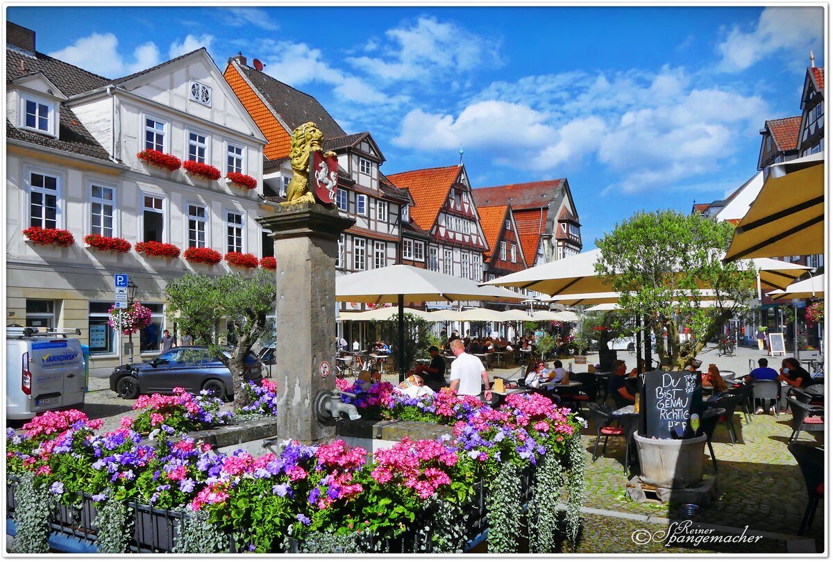  Groer Plan  Historische Altstadt Celle in der Sdheide, immer wieder eine Reise wert, zur Zeit der Heideblte im August 2024.