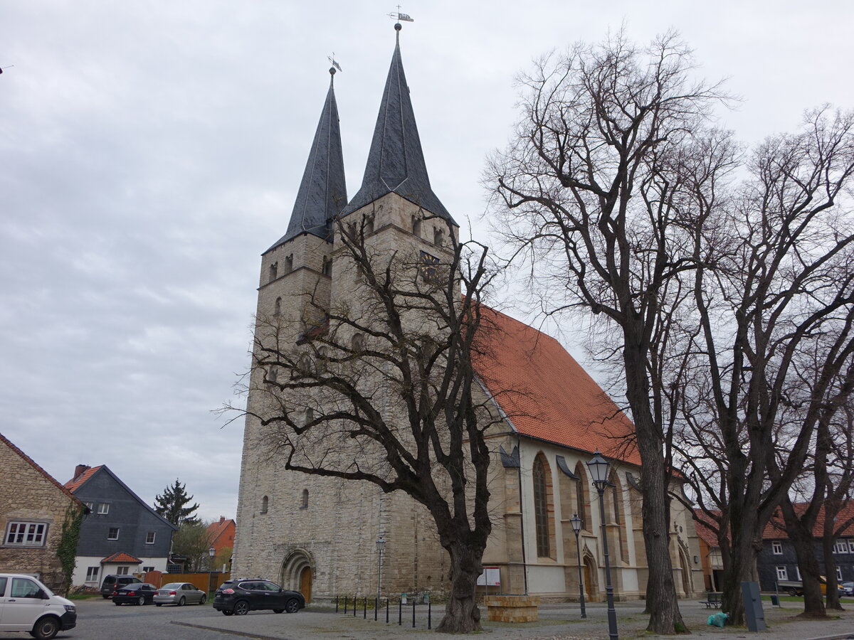 Osterwieck, evangelische St. Stephani Kirche, erbaut im 12. Jahrhundert, Langhaus umgebaut 1516 (22.03.2024)