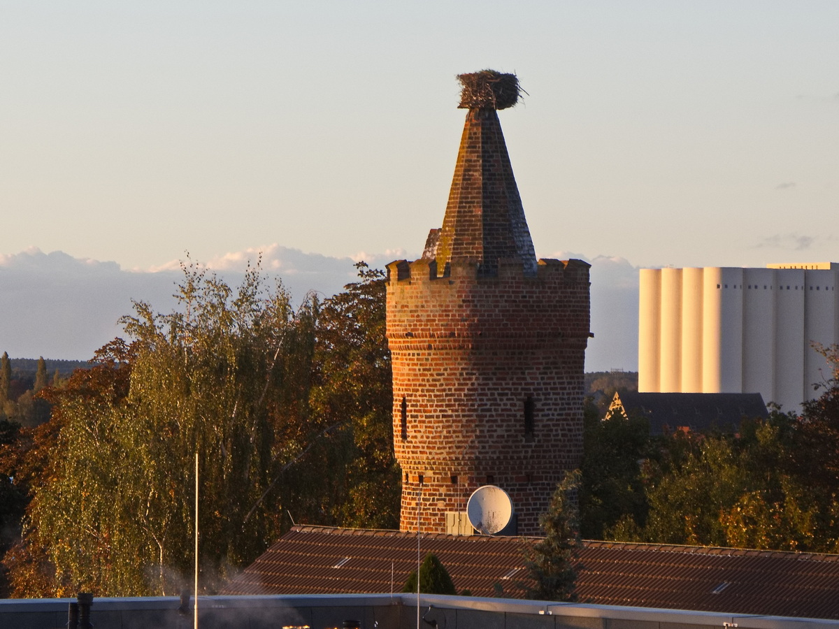 Pulverturm, einer der Trme der mittelalterlichen Stadtbefestigung Pasewalks hier am 04. Oktober 2024.