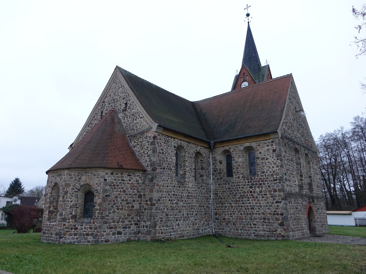 Wiesenburg/Mark, evangelische St. Marien Kirche, romanischer Feldsteinbau aus dem 13. Jahrhundert (10.12.2024)