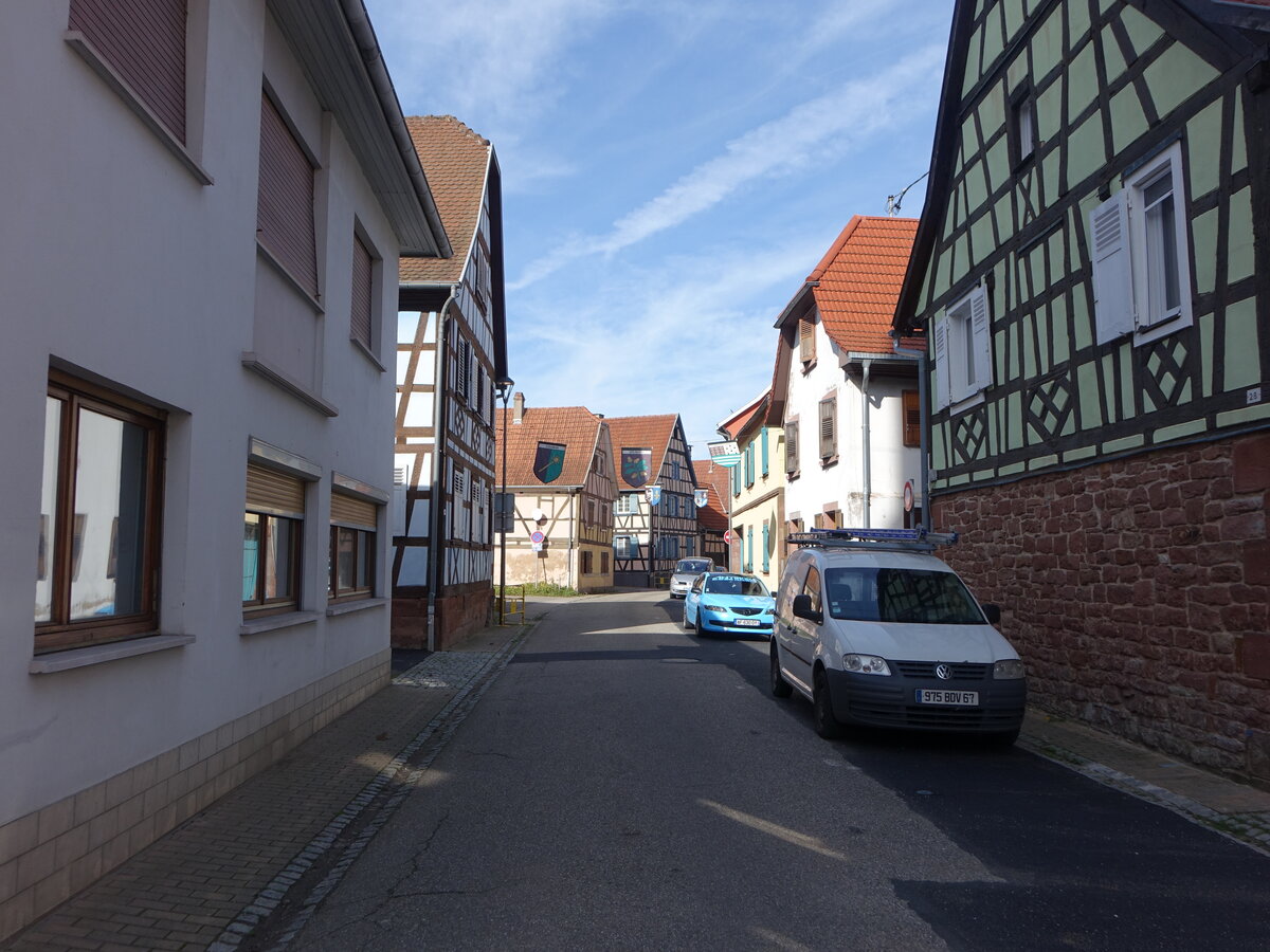 Woerth, Fachwerkhuser in der Rue de Eglise (13.10.2024)