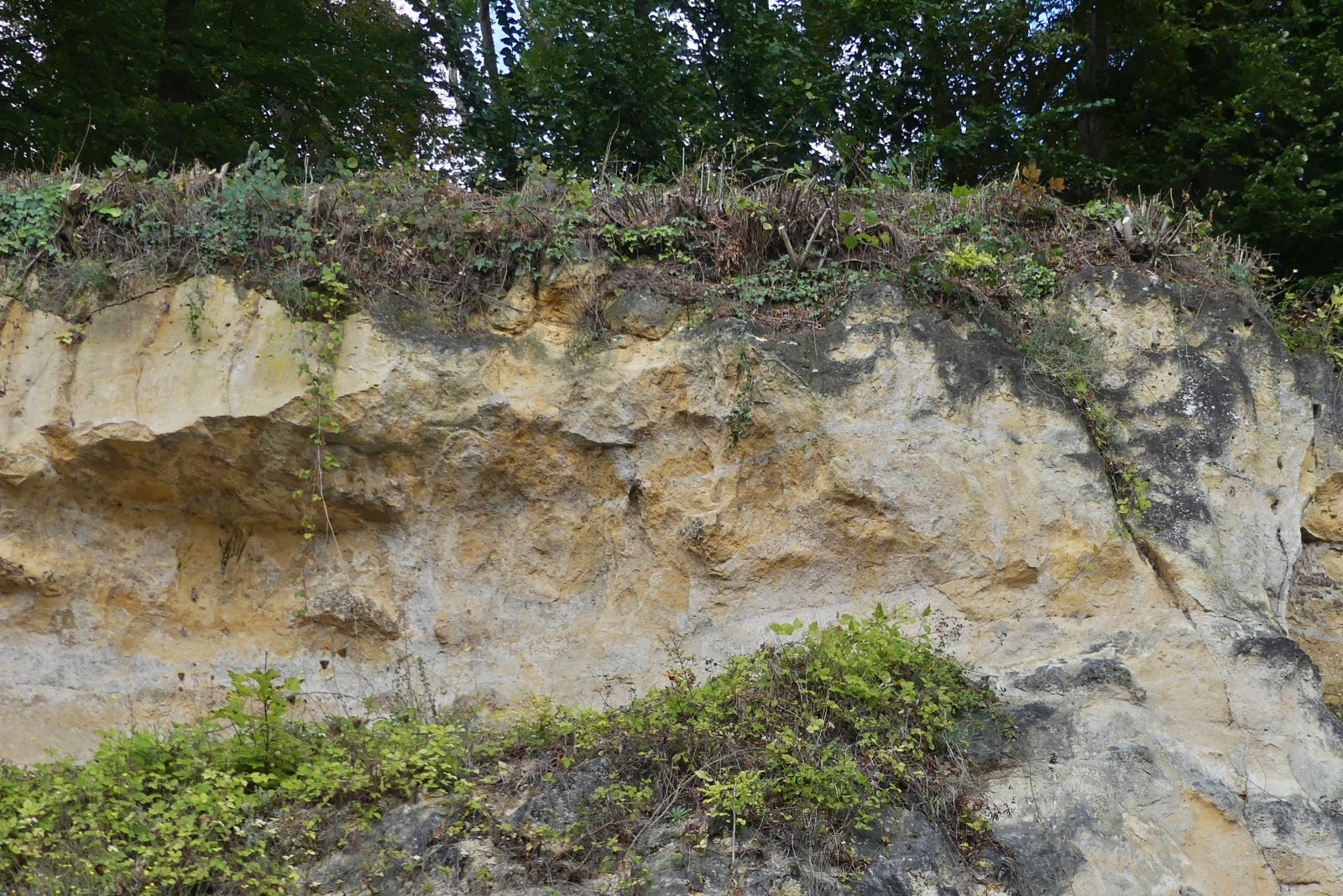 Sandsteinfelsen welche in Valkenburg berall zu sehen sind, das Gestein aus dem die Burg erbaut wurde. 12.09.2024