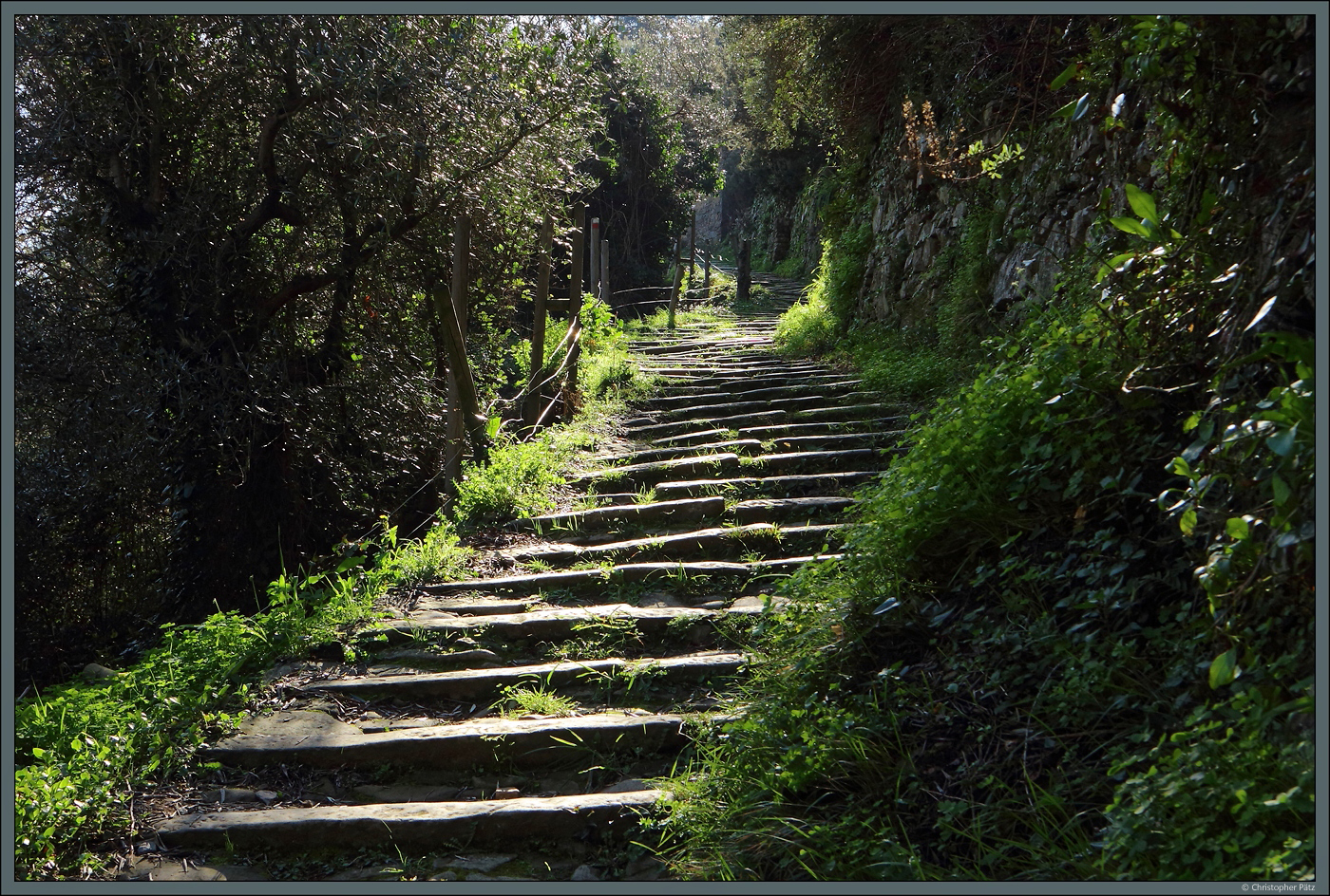 Viele Treppenstufen sind es von Manarola hinauf zum Dorf Volastra. (19.02.2024)