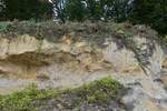 Sandsteinfelsen welche in Valkenburg berall zu sehen sind, das Gestein aus dem die Burg erbaut wurde.