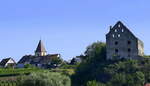 Burkheim am Kaiserstuhl, Blick von Westen auf den Weinort mit Kirche und Schloruine, Aug.2024