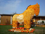 Feldkirch im Markgrflerland, Krbiskunst auf dem Bohrerhof, Okt.2008