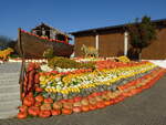 Feldkirch im Markgrflerland, Krbiskunst auf dem Bohrerhof, Okt.2014