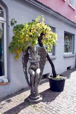 RADOLFZELL am Bodensee (Landkreis Konstanz), 16.10.2025, in der Radolfzeller Altstadt