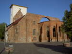 Wriezen, Ruine der Marienkirche, sptgotische Backsteinkirche, erbaut um 1500, Ruine seit 1945 (20.09.2012)