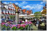  Groer Plan  Historische Altstadt Celle in der Sdheide, immer wieder eine Reise wert, zur Zeit der Heideblte im August 2024.