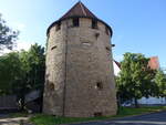 Osnabrck, Brgergehorsamturm an der Hasemauer Strae (05.06.2024)