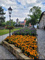 Blumenpracht im Innenhof der Festung Knigstein.