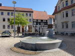 Haldensleben, Brunnen und H�user am Marktplatz (11.08.2025)