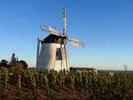 Windm�hle (eine der beiden letzten, betriebsf�higen in �sterreich) ist ein Wahrzeichen der Weinstadt RETZ;251029