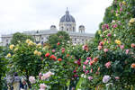 Volksgarten in Wien.