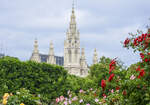 Das Wiener Rathaus vom Volksgarten aus gesehen.