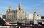 Das  Royal Liver Building  in Liverpool am 13.09.2012.