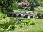  Palladianische Brcke im Schlopark von Stourhead House, Wiltshire (11.05.2024)