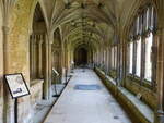 Lacock, ehemaliger Kreuzgang in der Lacock Abbey (17.05.2024)