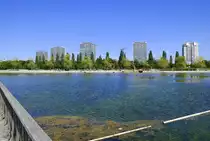 Lahr, Blick �ber den 3 Hektar gro�en Stegmattensee auf die Wohnhochh�user am S�d-West Stadtrand, Aug.2022