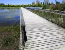 Lahr, Br�cke f�r Fu�g�nger und Radfahrer �ber den k�nstlich angelegten Stegmattensee, anl��lich der Landesgartenschau 2018, Aug.2022