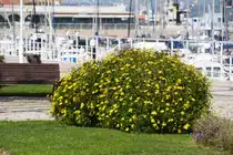 VILA REAL DE SANTO ANT�NIO, 22.03.2022, an der Avenida da Rep�blica