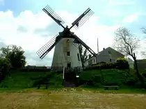 Windm�hle in Podersdorf/See, im burgenl�ndischen Seewinkel ist voll funktionsf�hig, und f�r interessierte Besucher zu gewissen �ffnungszeiten besuchbar; 230503