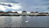 Schloss Nymphenburg in M�nchen mit Schwan, gesehen von der Stadtseite.

🕓 12.4.2023 | 16:15 Uhr