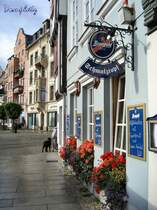 ERFURT;Domplatz -
2006