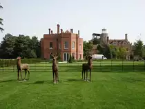 St. Osyth Priory, Kloster der Augustiner-Chorherren, gegr�ndet 1121, aufgel�st 1539 (06.09.2023)