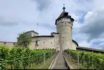 Ordentlich zu klettern hat man zur Festung Munot, dem Wahrzeichen der Stadt Schaffhausen (CH). Die Treppe des Munotstiegs f�hrt entlang eines Weinbergs.

🕓 28.7.2023 | 12:58 Uhr