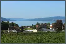Blick vom h�chsten Punkt der Insel Reichenau auf das Dorf Mittelzell und den Rheinsee, der hier die Grenze zwischen Deutschland (rechtes Ufer) und der Schweiz (links) bildet. (Reichenau, 08.10.2023)