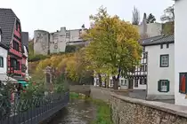 Erftlauf und Burg in Bad M�nstereifel - 16.11.2023