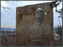 Oberhalb von Jena-Lobeda befindet sich die Lobdeburg, welche aus dem 12. Jahrhundert stammt. Der ehemalige Wohnturm ist das markanteste Geb�ude der Burgruine. Hinter der Apsis befand sich eine kleine Kapelle im Turm. (Jena, 14.01.2024)