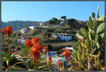 H�user in den H�geln am Ortsrand von Lipari. (21.02.2024)