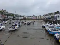 Ilfracombe, H�user um den Hafen (13.05.2024)