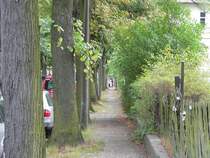 Gr�ne Wege und wenig Verkehr - Prinzenviertel in Berlin Karlshorst. 29.8.2008