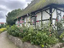 Das Dorf Sieseby an der Schlei ist bekannt durch seine zahlreichen restaurierten reetgedeckten H�user. Seit 2000 steht der Ort als erstes Fl�chendenkmal in Schleswig-Holstein unter Denkmalschutz. Aufnahme: 4. August 2024.