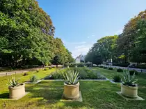 Der Platz des  18. M�rz in Kolberg (Kołobrzeg) wurde im Jahr 1880 im Stil eines franz�sischen Gartens entworfen. (September 2024)