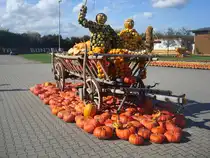 Feldkirch im Markgr�flerland, K�rbiskunst auf dem Bohrerhof, Okt.2010