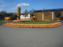 Feldkirch im Markgr�flerland, K�rbiskunst auf dem Bohrerhof, Okt.2010