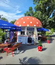 Kult pur verspr�ht der  Milchpilz  in Bregenz (AT). Dort gibt es haupts�chlich Milchshakes in verschiedensten Variationen vom Eigent�mer Vorarlberg Milch.
In den 1950er-Jahren entstanden, gibt es von urspr�nglich 49 nur noch 6 solcher Milchpilze. Neben Bregenz als nunmehr einziger �sterreichischer Standort stehen diese nur in Deutschland, und zwar in Lindau, Wangen, Regensburg, Mardorf und Rosengarten.

🕓 2.8.2024 | 17:06 Uhr