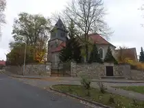 Wansleben am See, sp�tgotische evangelische St. Andreas Kirche, erbaut 1509 (01.11.2024)