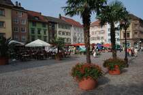 M�nsterplatz - Die Palmen geben dem seit ein ein paar Jahren umgestalteten Marktplatz ein s�dliches Flair, vereint mit alemannischer Gem�tlichkeit. 23.9.2006